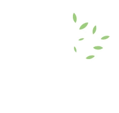 Westwood village